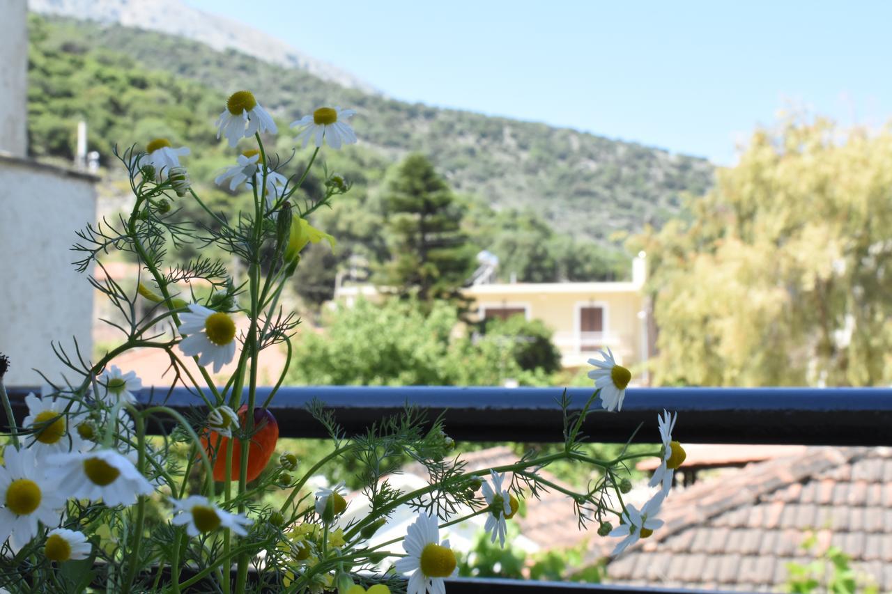 Starvillas Apartments And Studios Agia Efimia Екстериор снимка